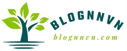 blognnvn.com